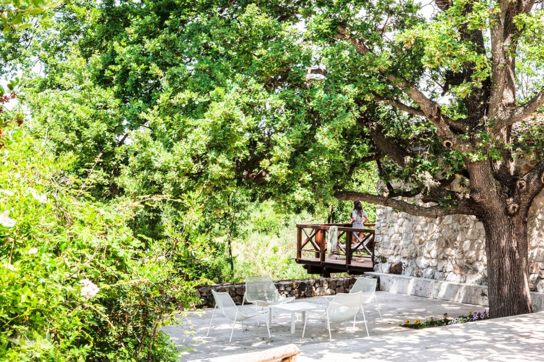 Il Cannito boutique guesthouse in the lush hillside location backing on to the Cilento & Vallo di Diano National Park