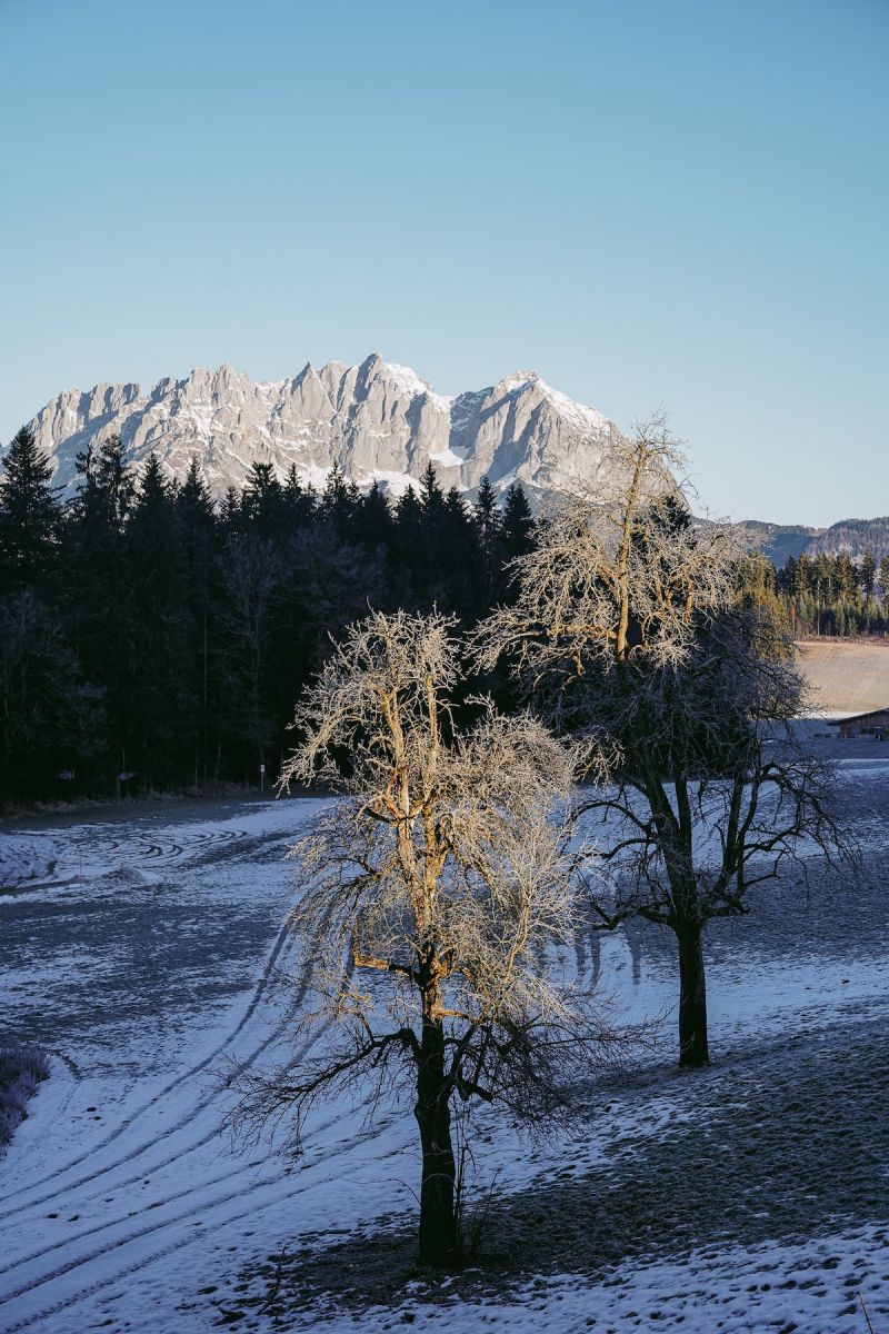 Tyrolean Mountains in the distance | Hotel Seebichl, Kitzbühel, Tyrol – Design Retreat by Lake Schwarzsee, Austria, The Aficionados 