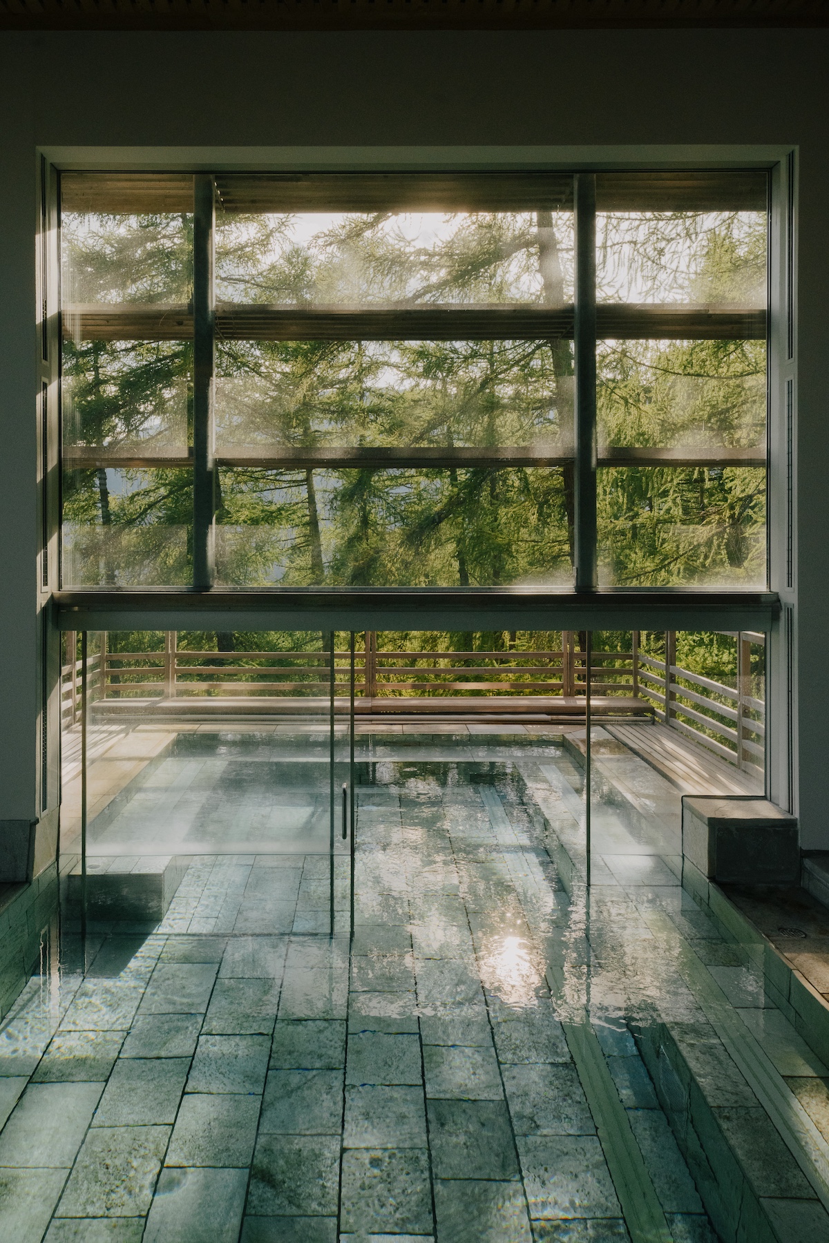 Reflections in a pool with dramatic treeline skyline | vigilius mountain resort: Holistic Design & Spa Retreat in South Tyrol