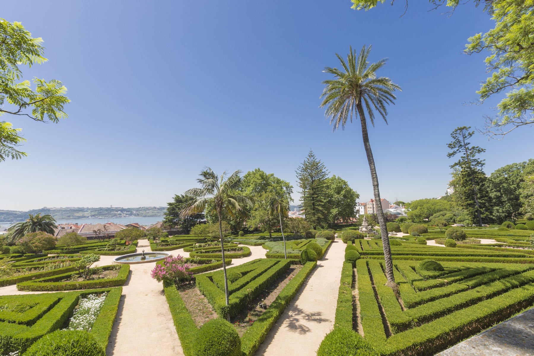 Jardim Botânico | Lisbon's Botanical Garden | The Aficionados