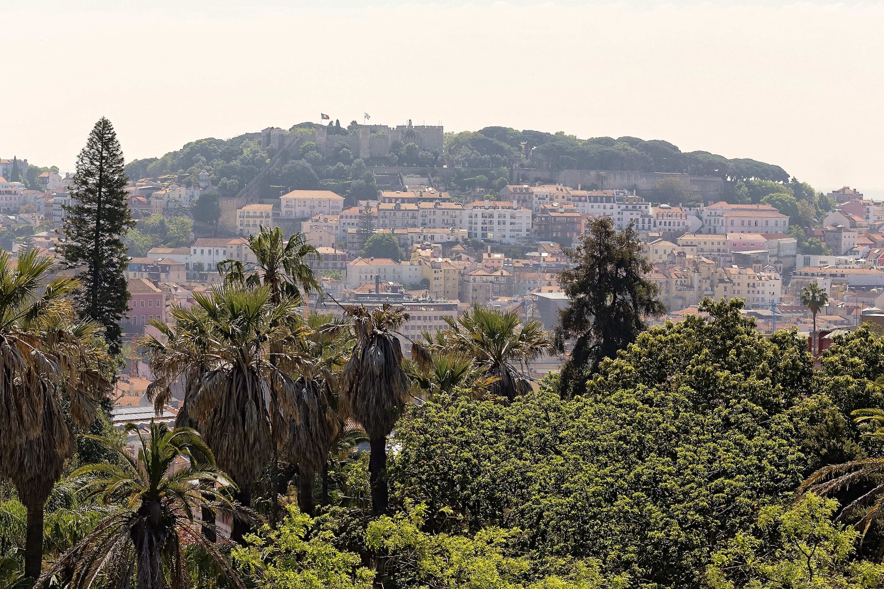 Arial view of Lisbon Príncipe Real: A Green Crown of Elegance and Design | Portugal 