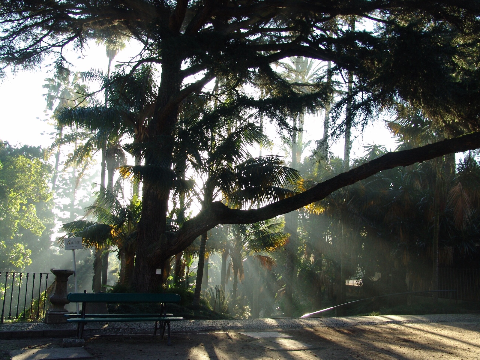 Jardim Botânico | Lisbon's Botanical Garden | The Aficionados