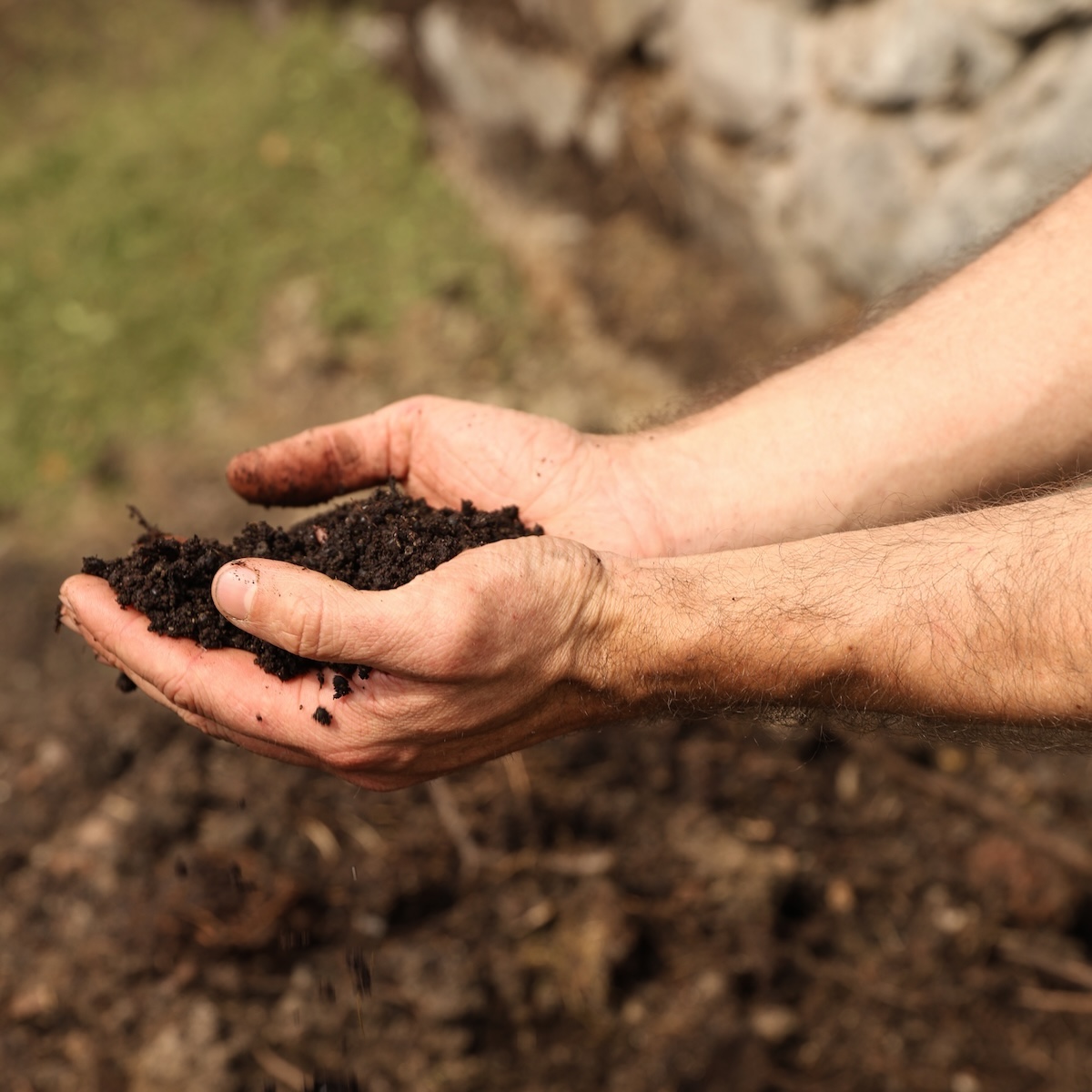 A winemaker's hands cradling dark, friable soil from the Röck vineyard in Villanders, South Tyrol | The Aficionados