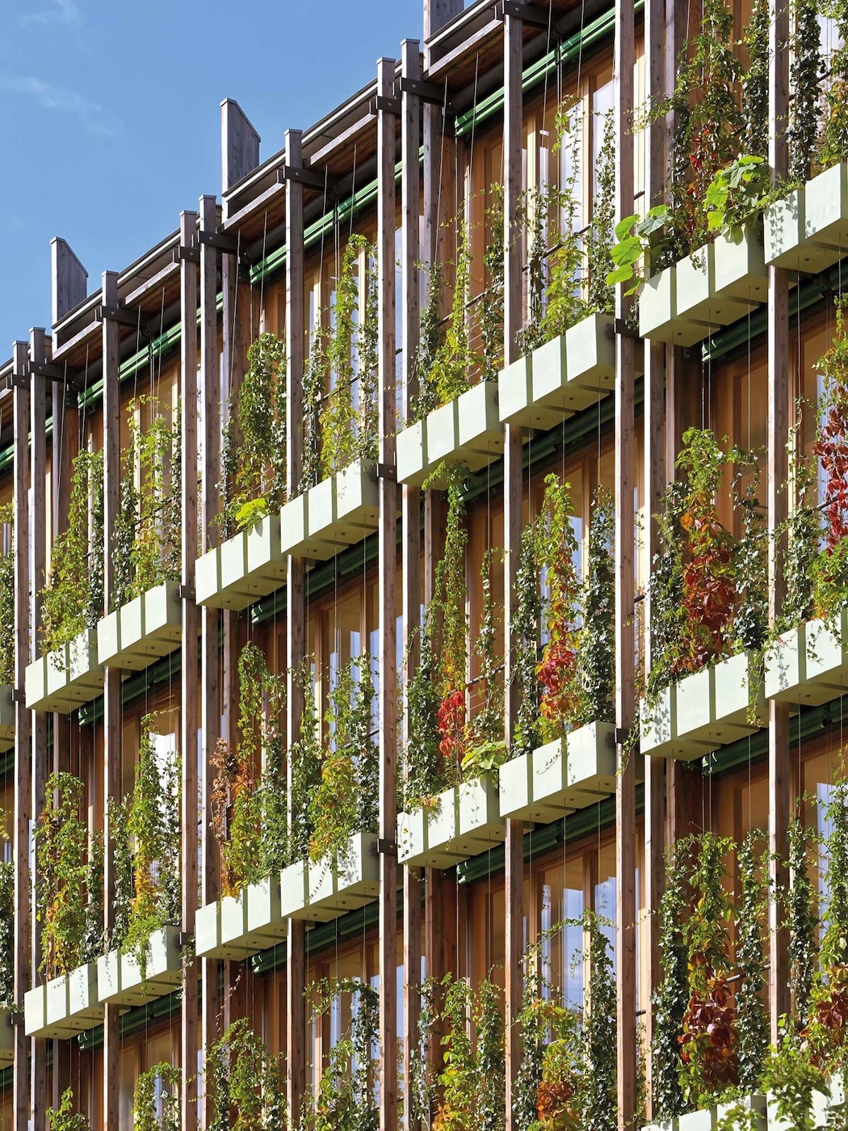 Renzo Piano’s MUSE in Trento | The Aficionados