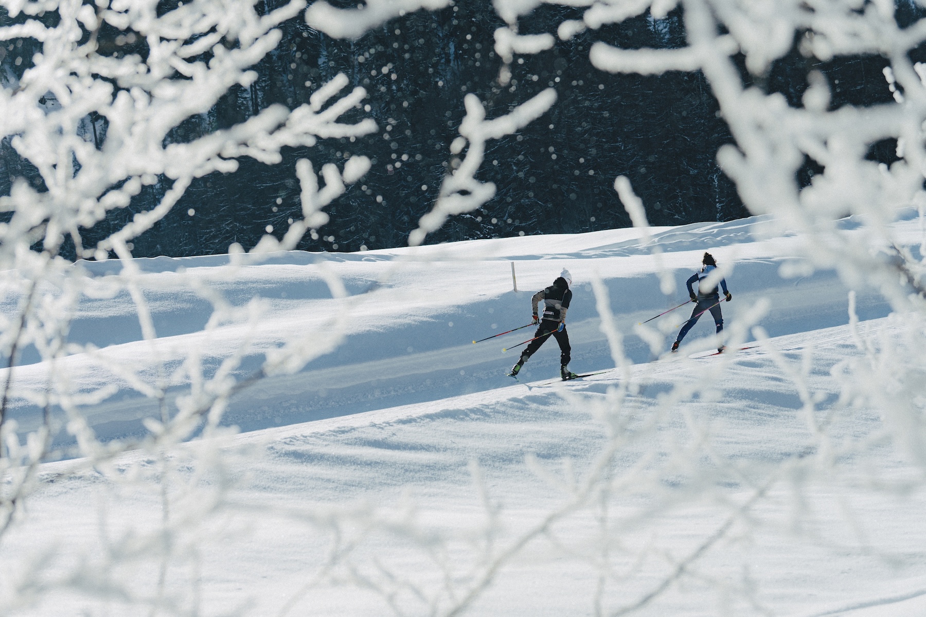 Valais Cross-Country Ski, snow in the alps, Switzerland