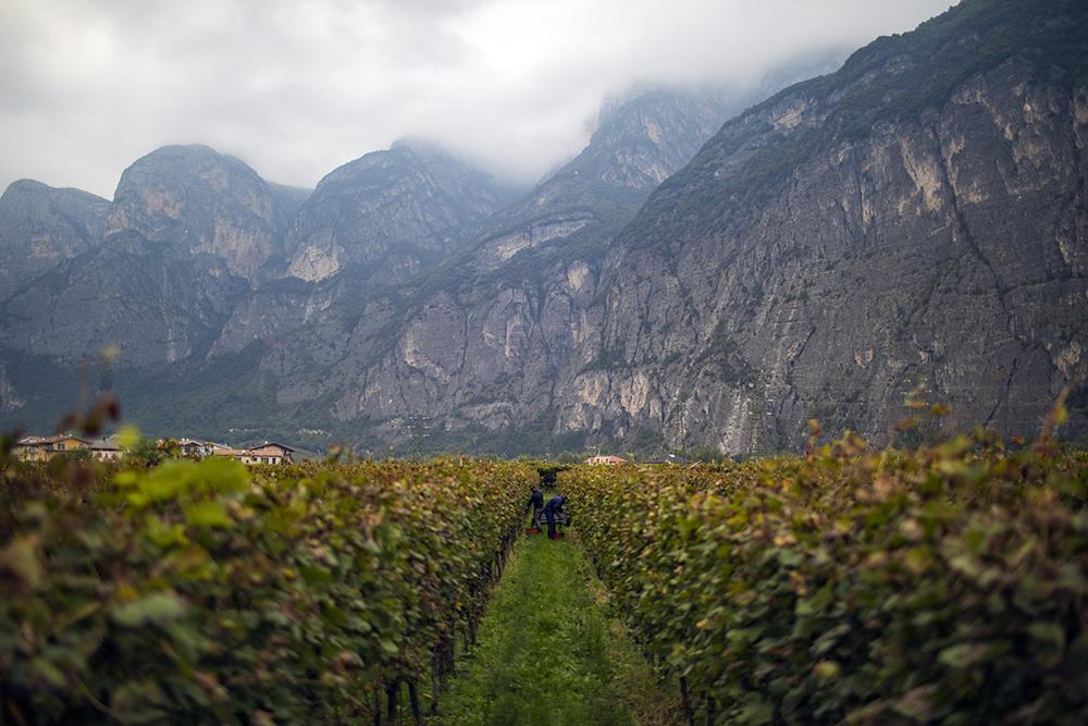 The Vineyard Edit: Wine-Fuelled Boutique Hotels & Vineyard Stays
