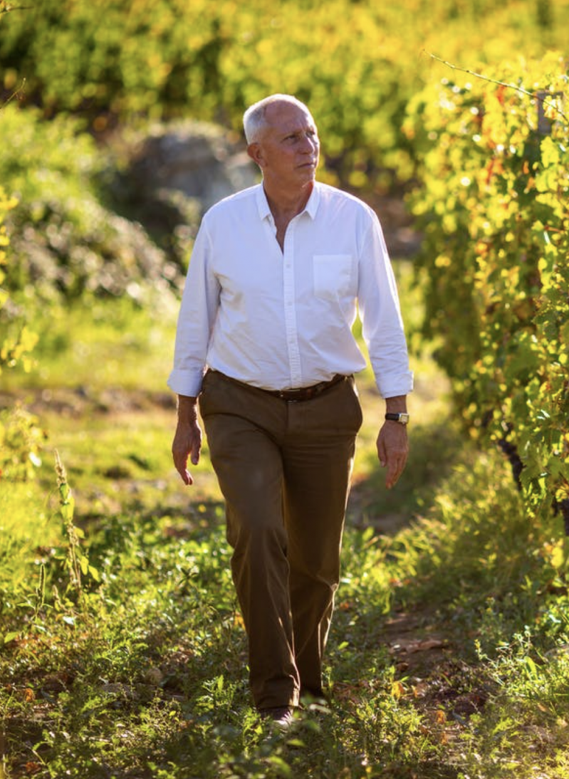 MAn walking throught the cvines wearing white shirt / Mediterranean vine| The Vineyard Edit: Wine-Fuelled Boutique Hotels & Vineyard Stays