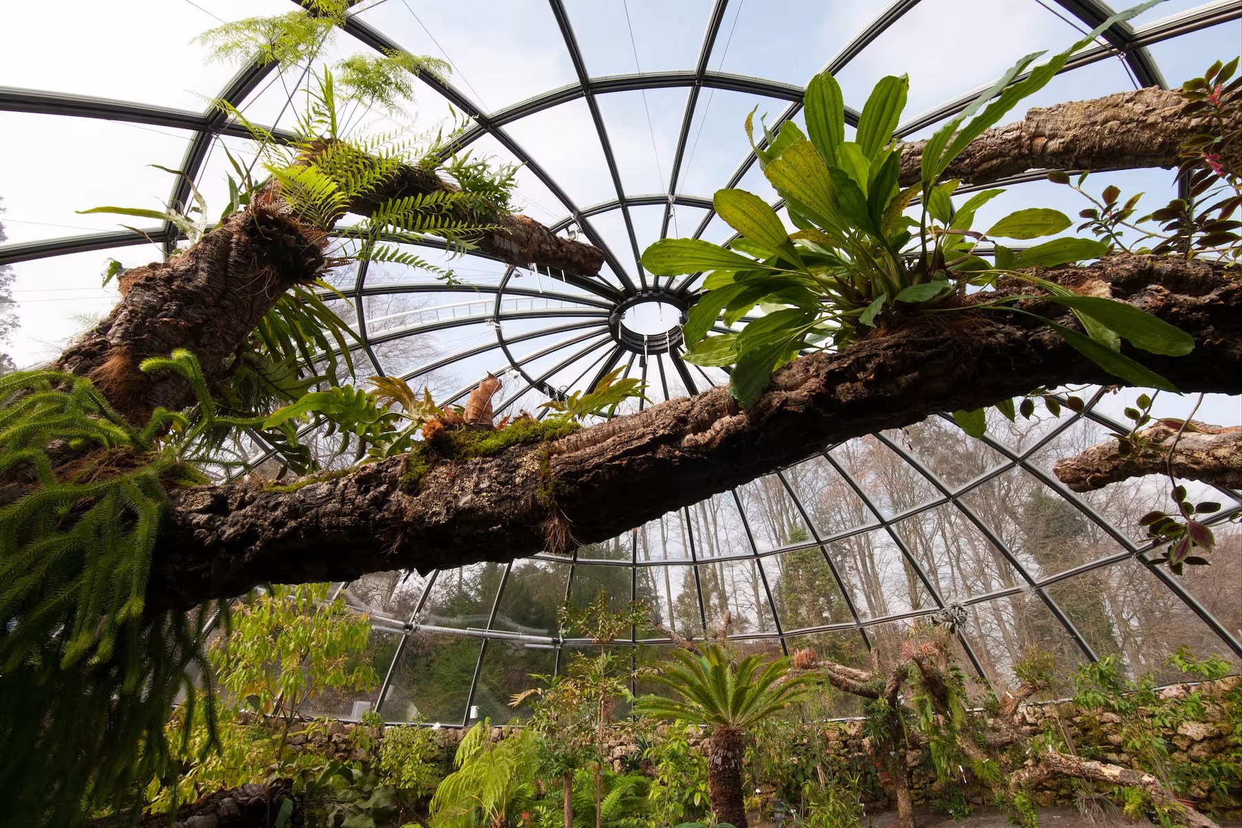 Botanical Gardens Zurich | Urban Green | The Aficionados 