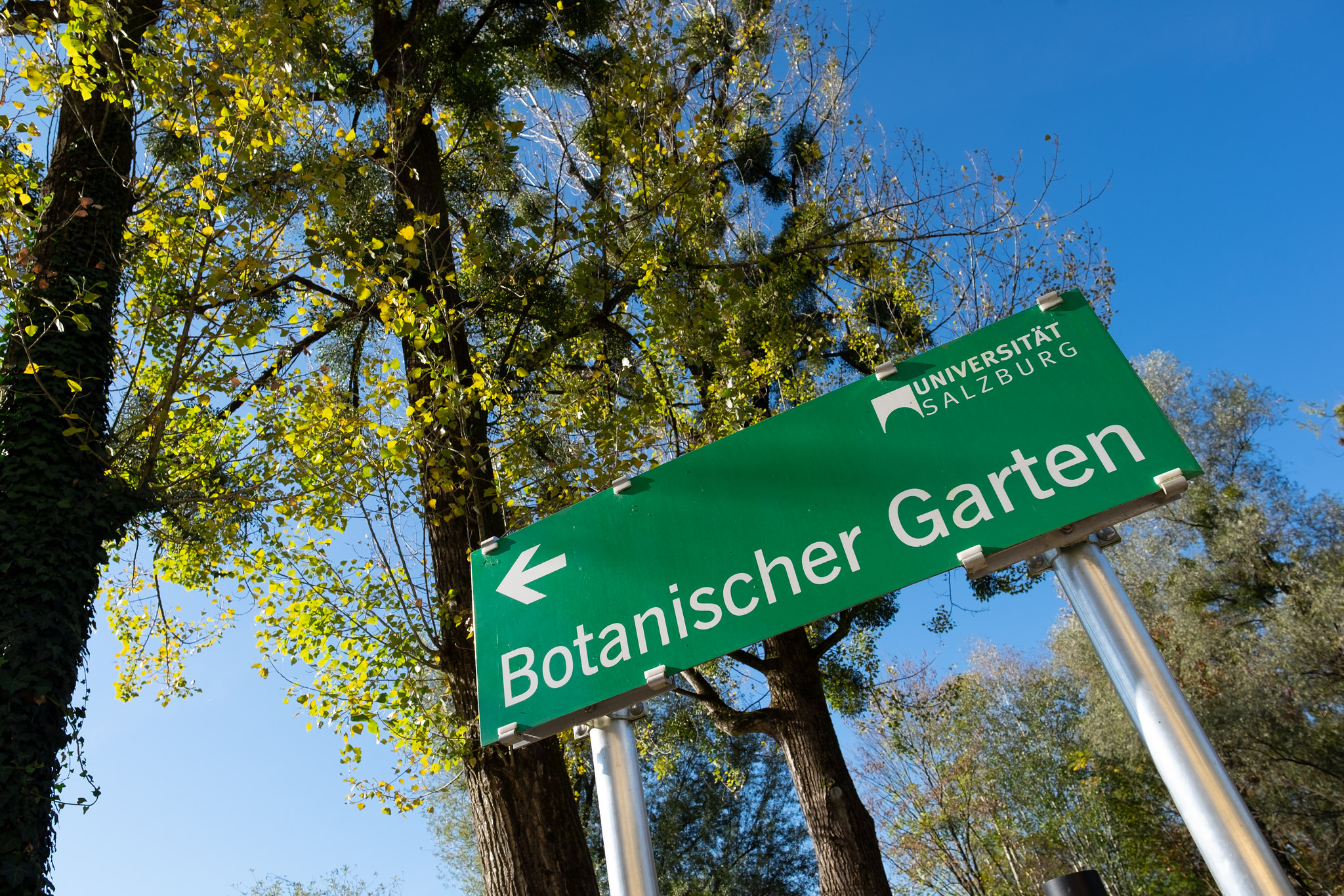 Salzburg’s Botanical Garden | University of Natural Sciences | Austria