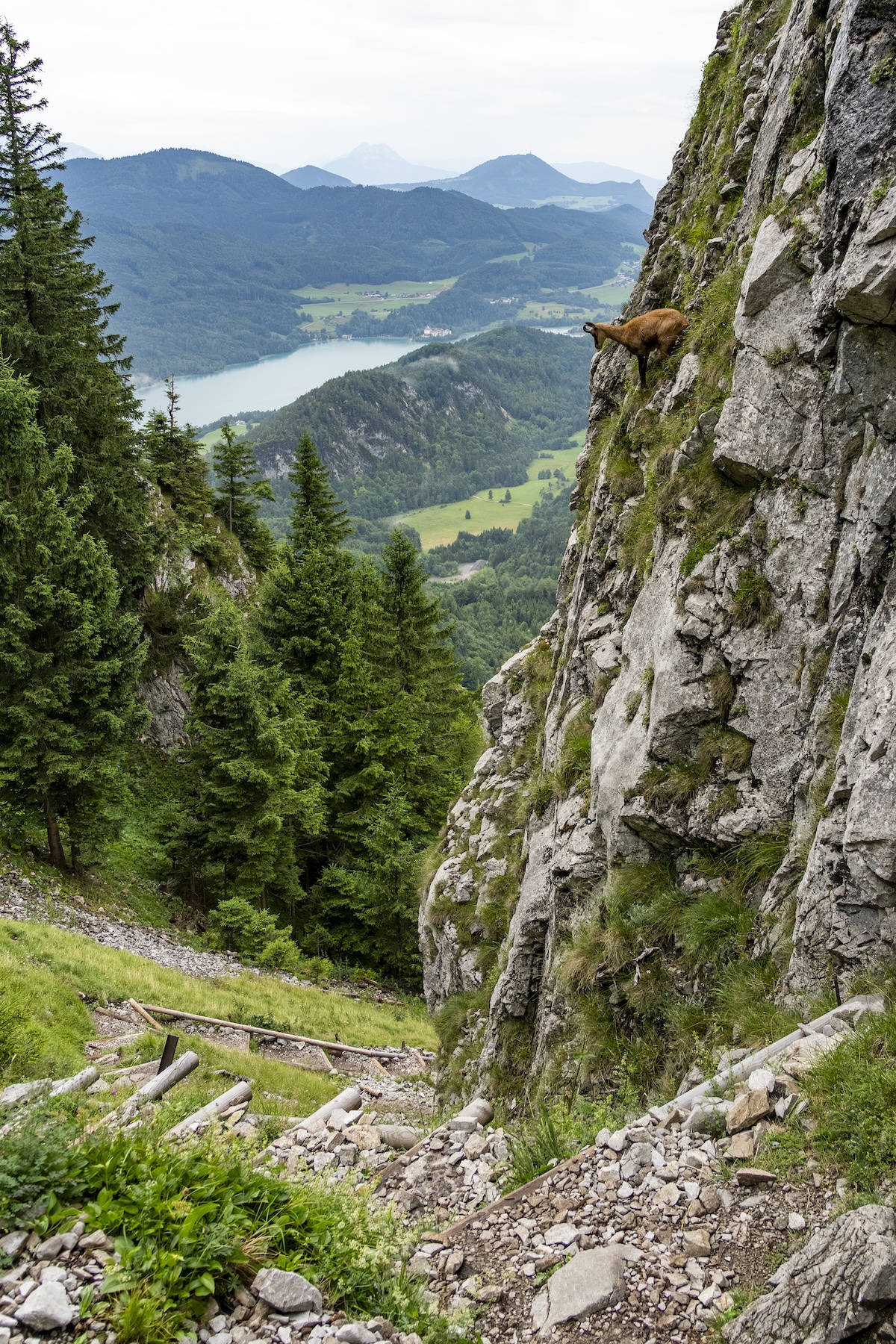 Salzkammergut, Austria, lake, Lake District, nature, countryside, adventure, holiday