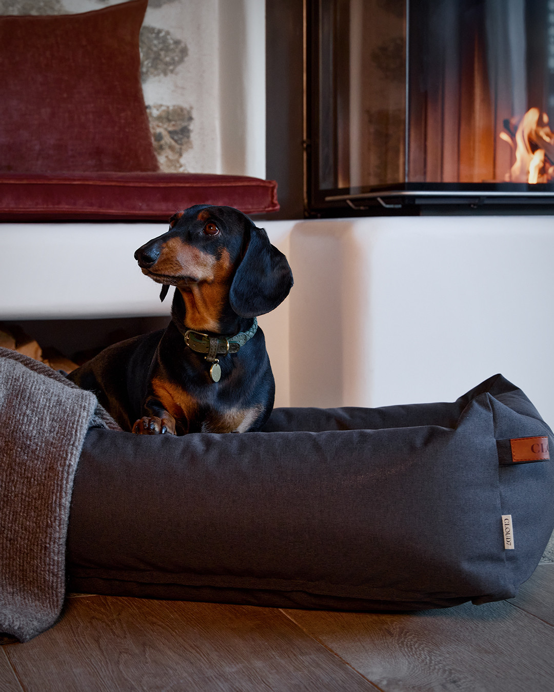 Dog-friendly luxury hotel in Arosa Switzerland with hounds enjoying Alpine nature
