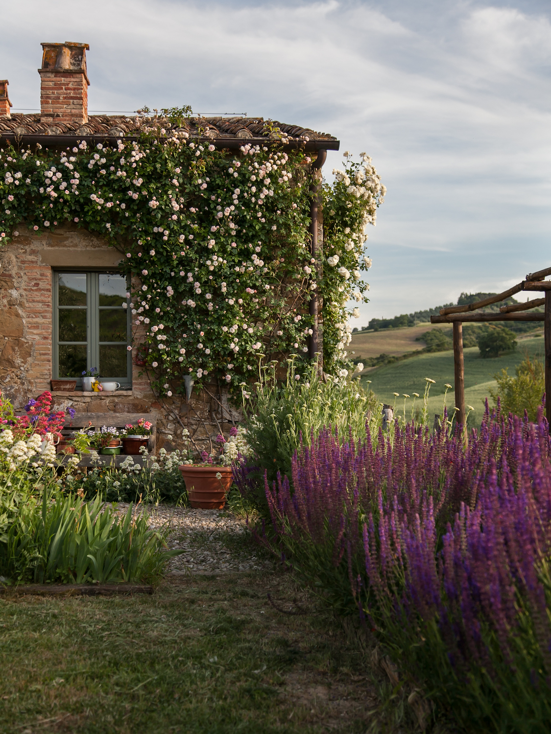 Stone farmhouse at Follonico under climbing pale pink roses, with salvia, potted geraniums and the hills beyond | The Aficionados