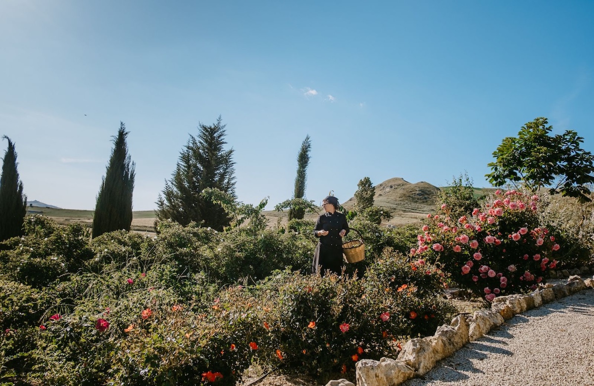 Cook in chef's whites gathering herbs among roses in the garden of a Sicilian masseria, hills beyond