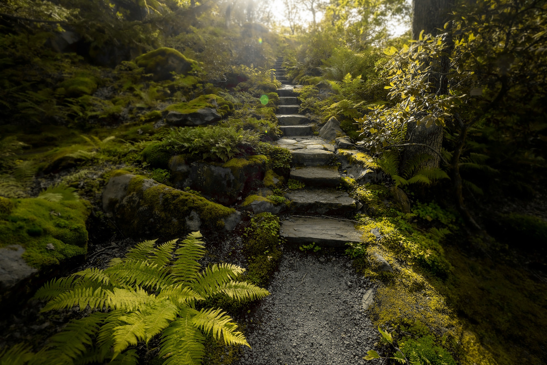 Gothenburg Botaniska | A gardener's sanctuary and must see in Sweden's second city