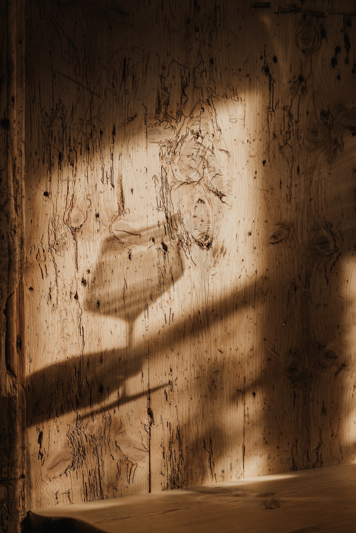 Shadow of a wine glass on centuries-old spruce panelling, Ansitz Steinbock castle, Villandro