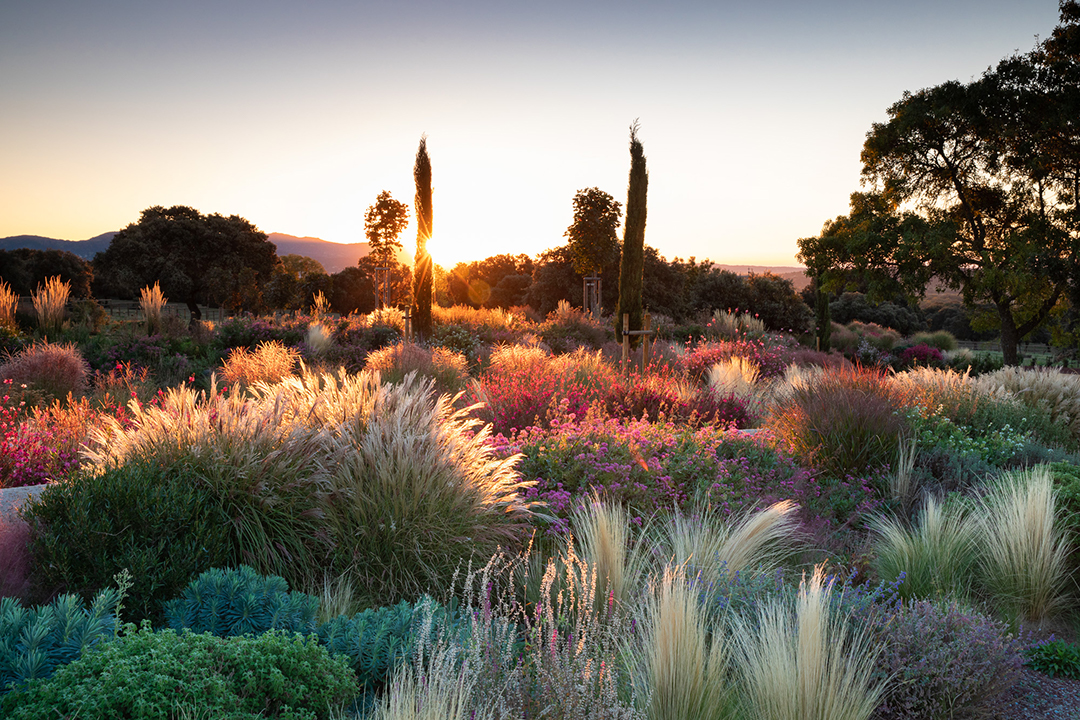 Álvaro Sampedro: Ecological Mediterranean Landscapes | The Aficionados 