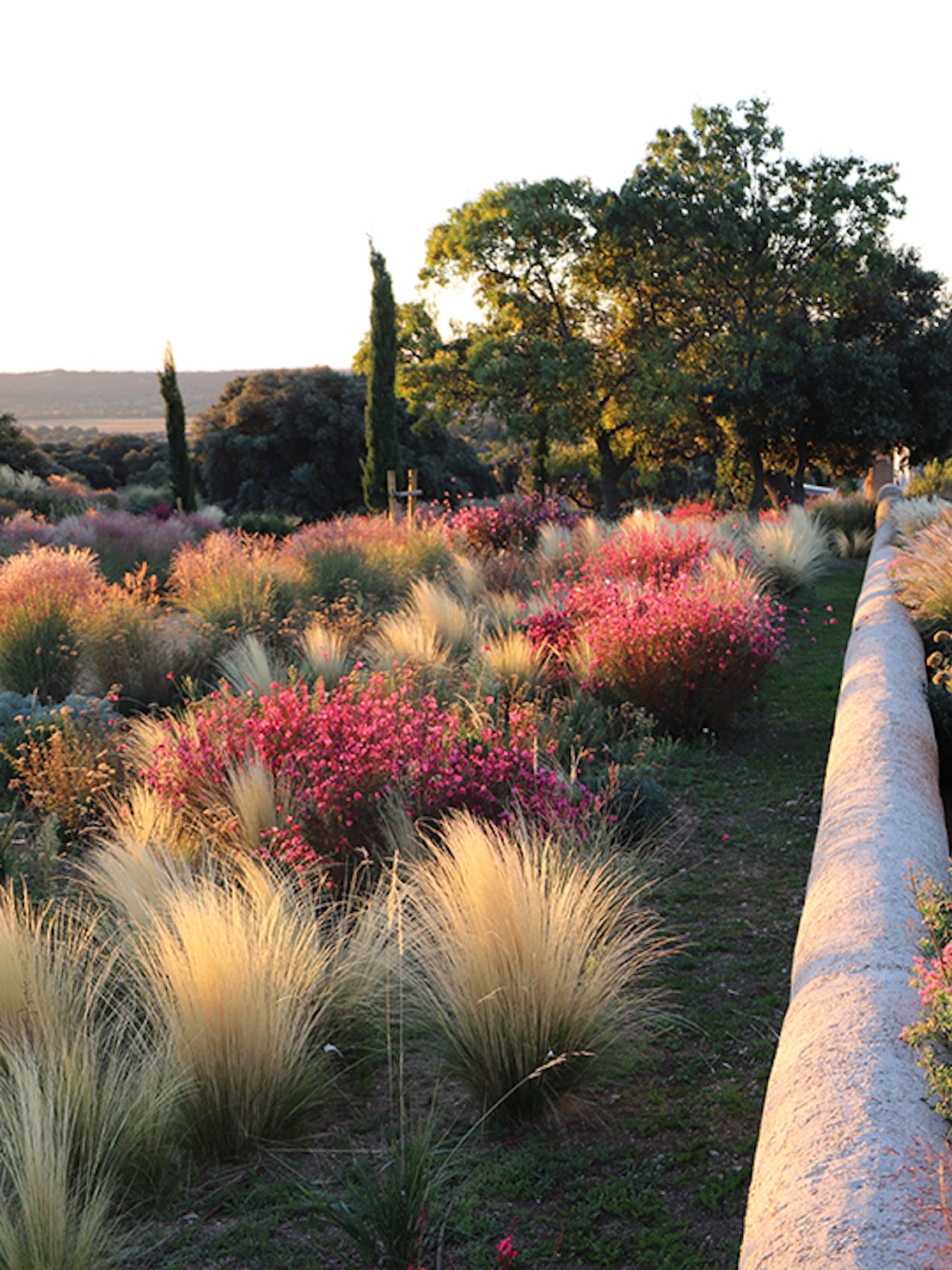 Álvaro Sampedro: Ecological Mediterranean Landscapes | The Aficionados 