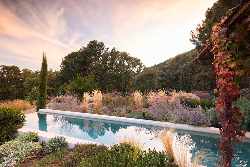 Álvaro Sampedro: Ecological Mediterranean Landscapes | The Aficionados 