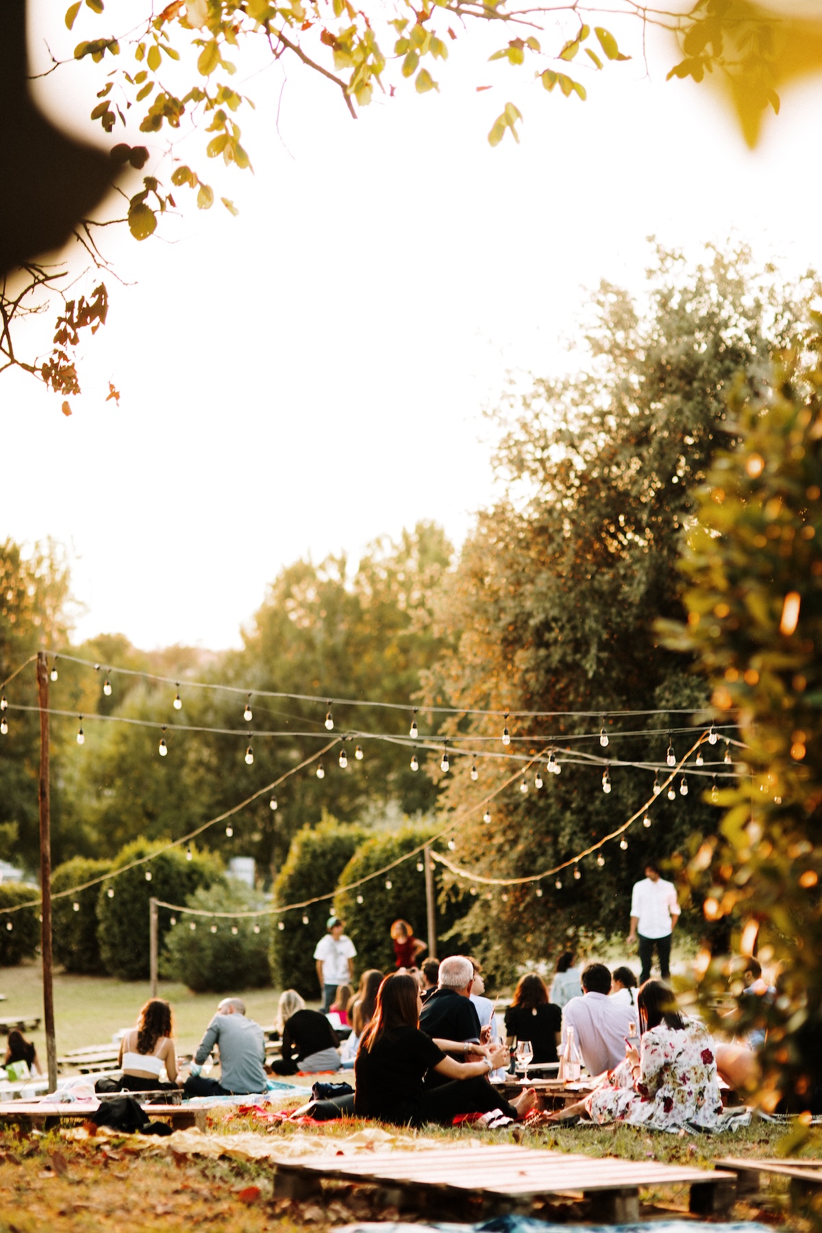 Outdoor evening gathering with string lights among the vines at an Emilia-Romagna Lambrusco estate, Italy | The Aficionados