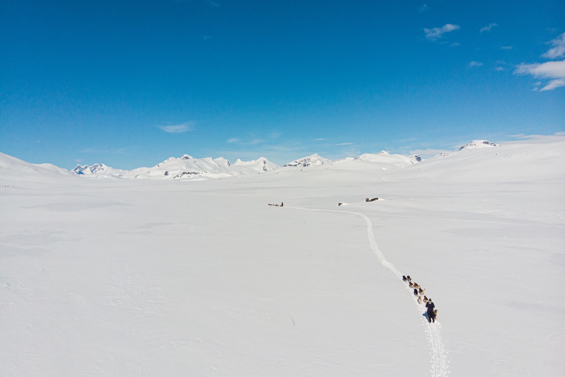 Jotunheimen National Park husky-sledding in Norway, dogs, snow, sunshine, 