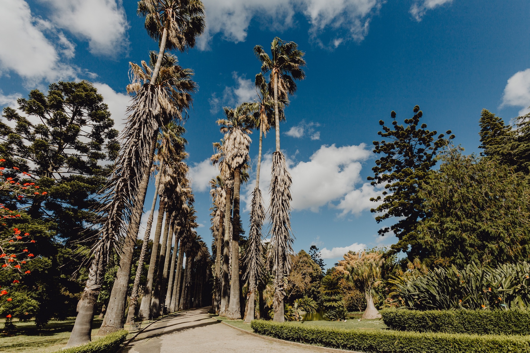 Jardim Botânico | Lisbon's Botanical Garden | The Aficionados