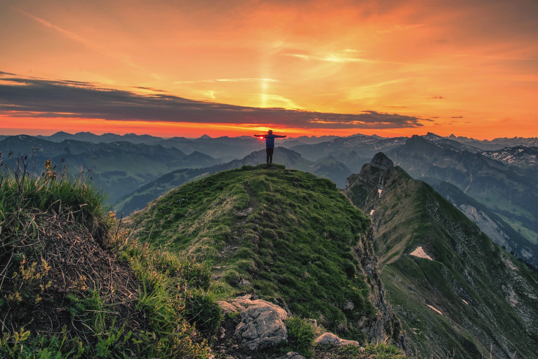 Hike with the cows | Bregenzerwald | The Aficionados