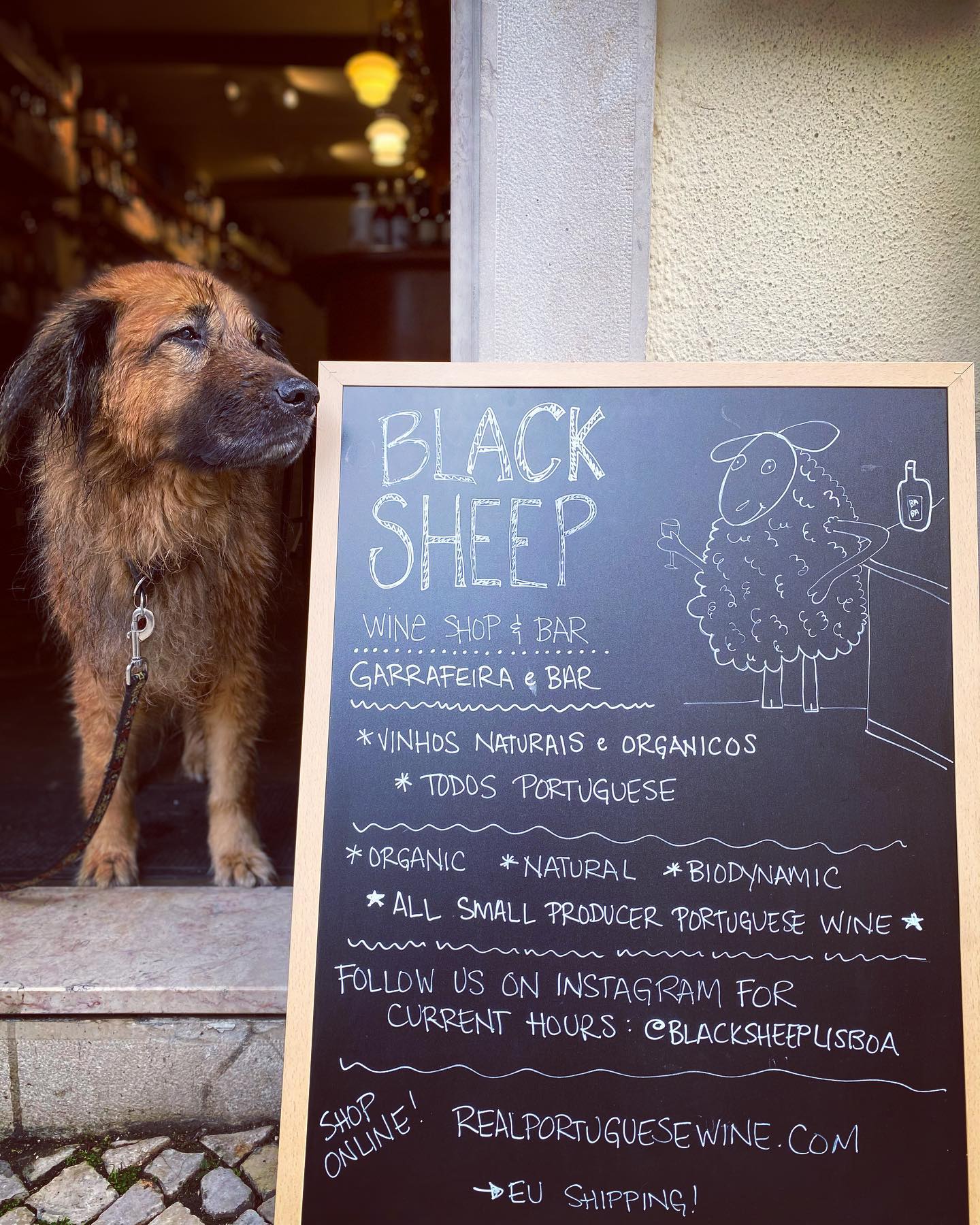 Best Wine Bars in Lisbon | Vino Vero, Senhor Uva, Prado & SEM