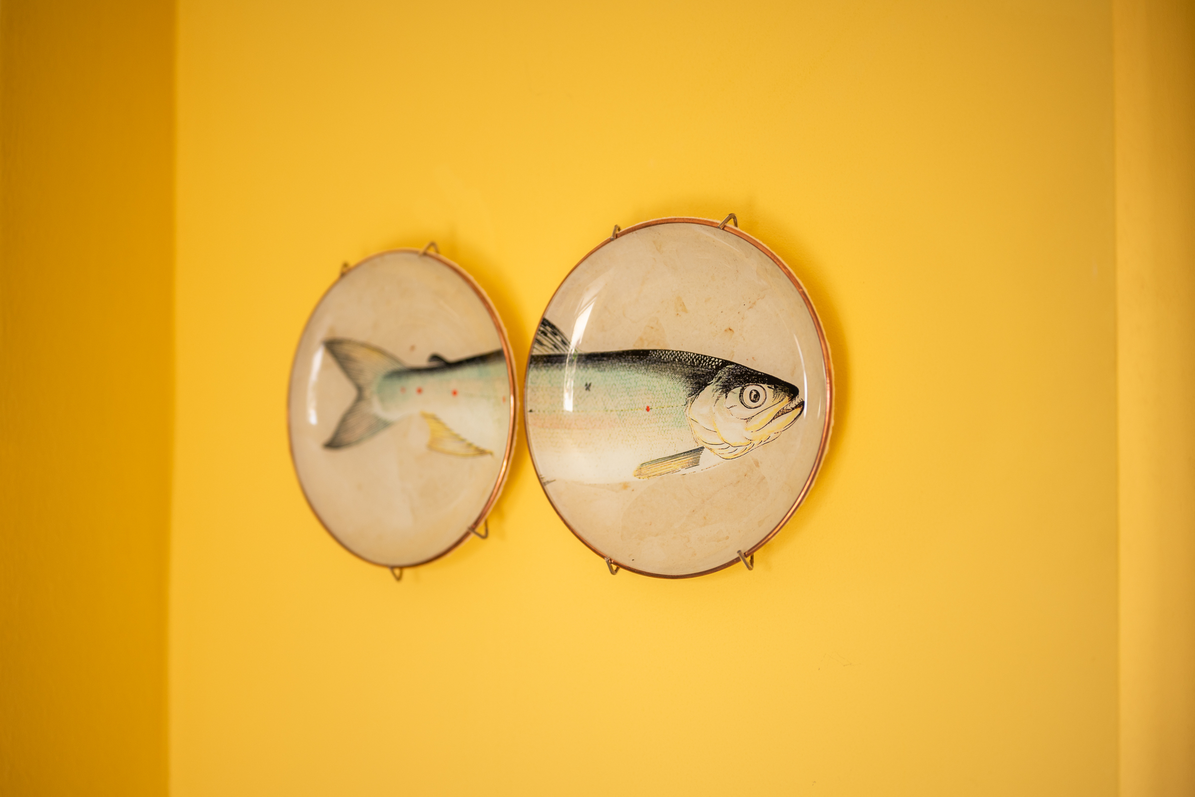 Tow fish plates agains t a custard yellow wall found at the boutique hotel Villa Walter Lovran Coratia | Yellow Pages: Sunshine Tones in Design, Travel & Colour Led Boutique Hotel Style