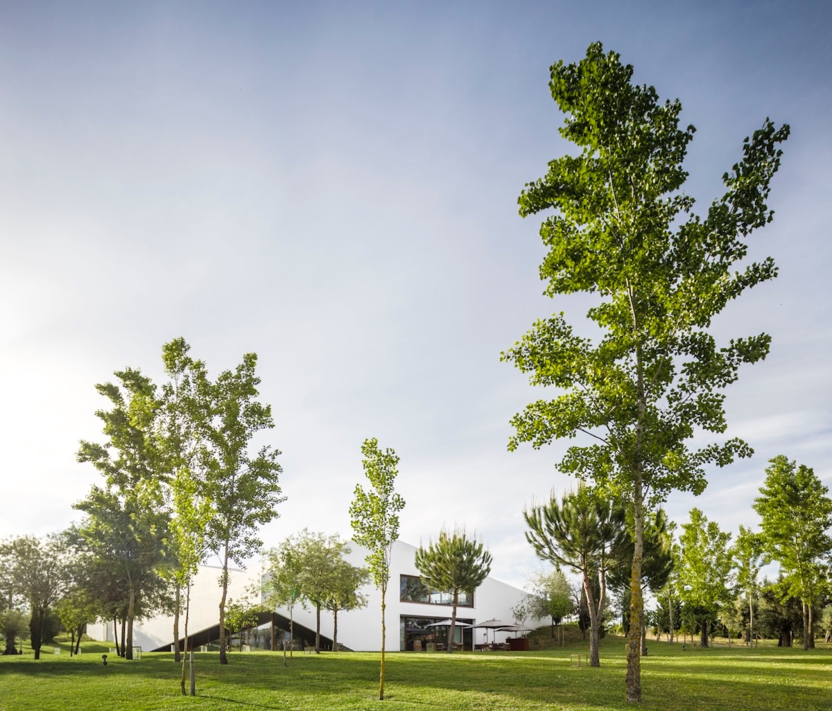 L'AND VINYEARD HOTEL PORTUGAL - White architecturally modern new build that mimics the Alentefjo building style set amogst the vines | The Vineyard Edit: Wine-Fuelled Boutique Hotels & Vineyard Stays