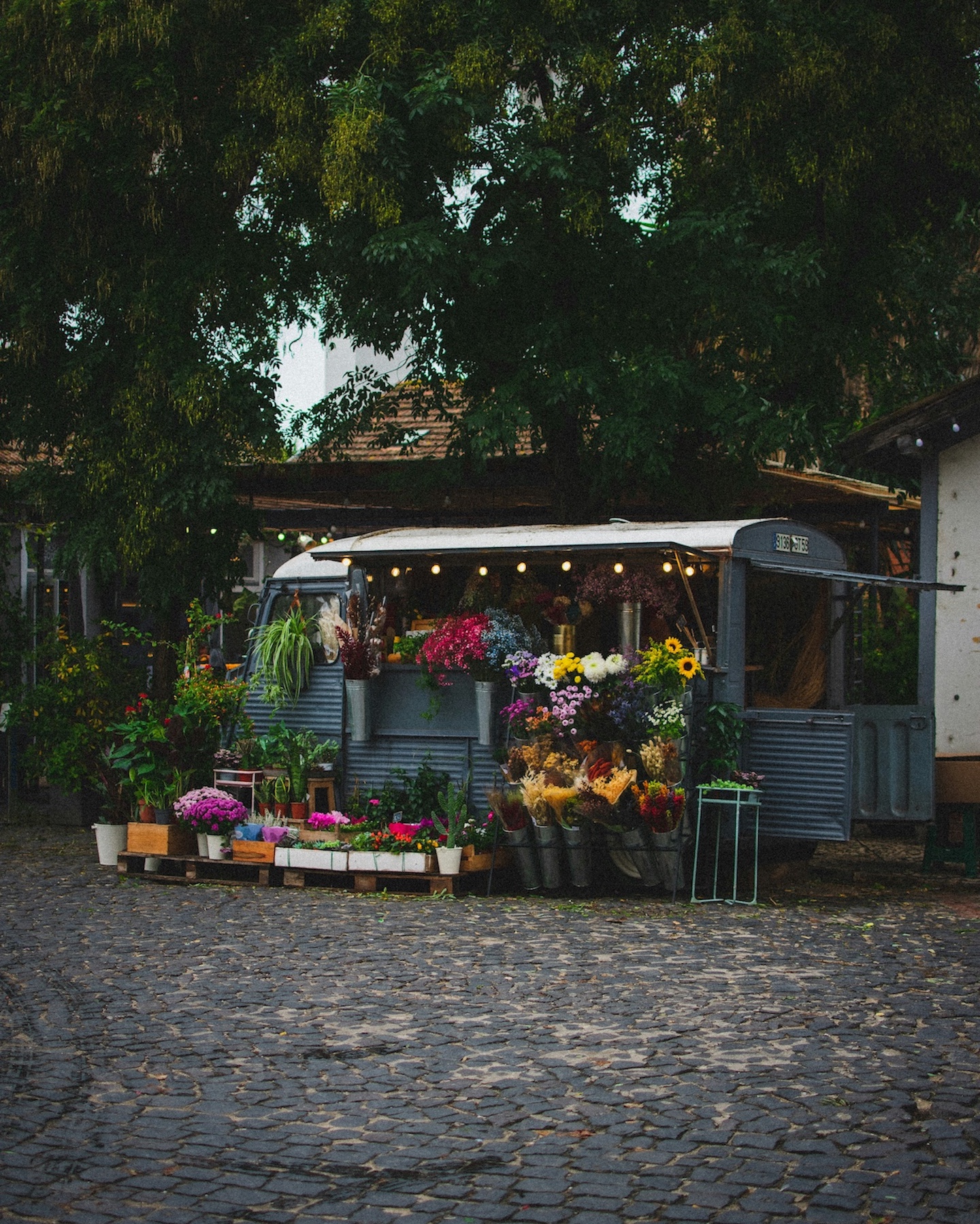 Lisbon Príncipe Real: A Green Crown of Elegance and Design | Portugal 