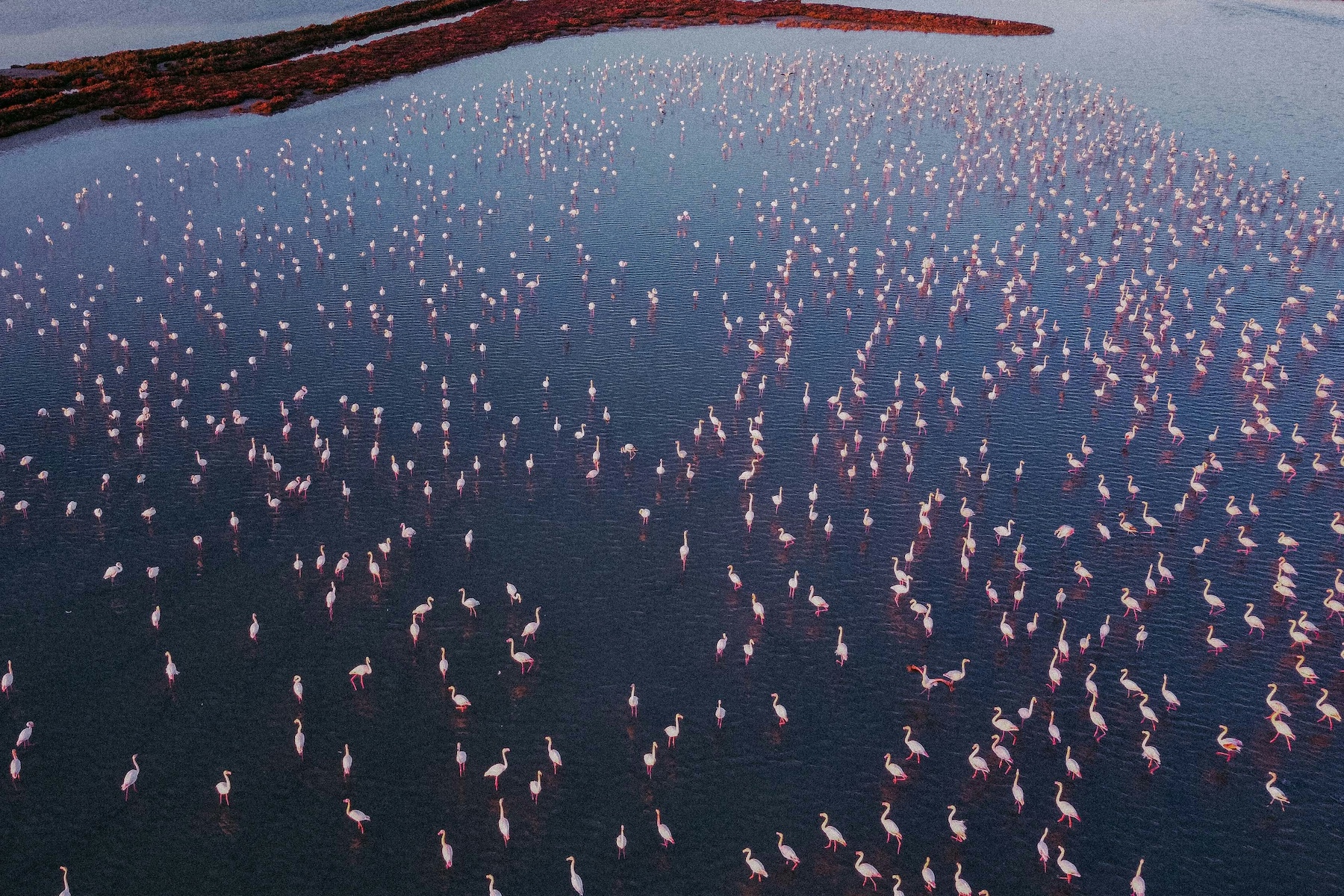 Ria Formosa to Ilha de Tavira – Nature, Culture & Design in the Algarve