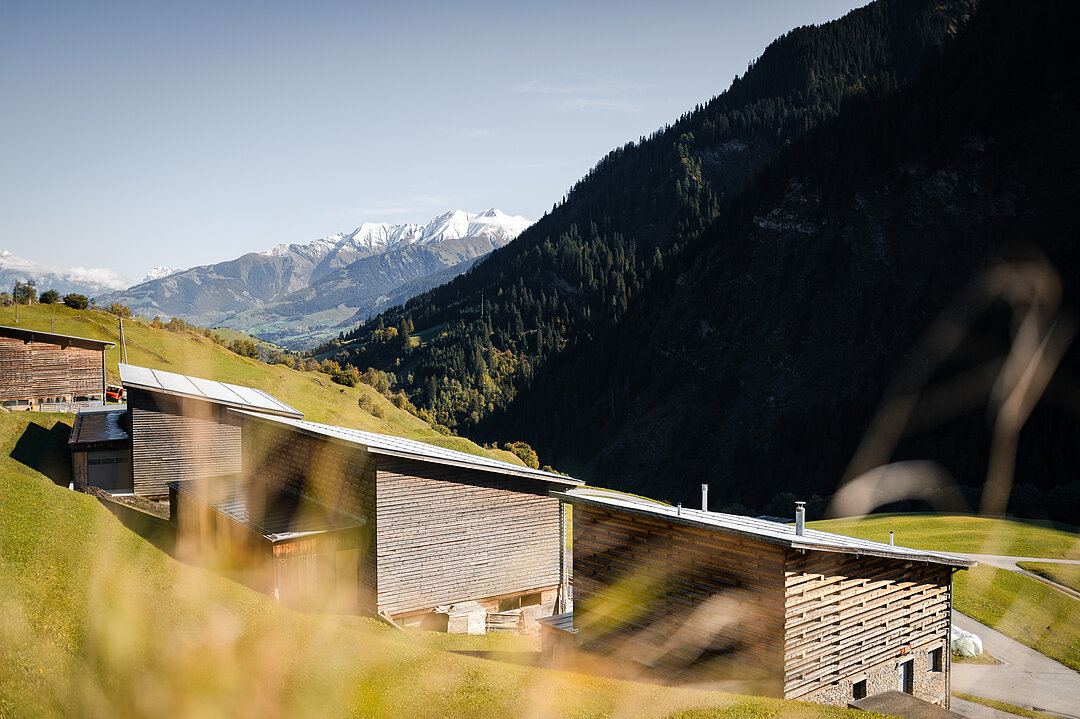 Gion A. Caminada Alpine Architecture in Switzerland