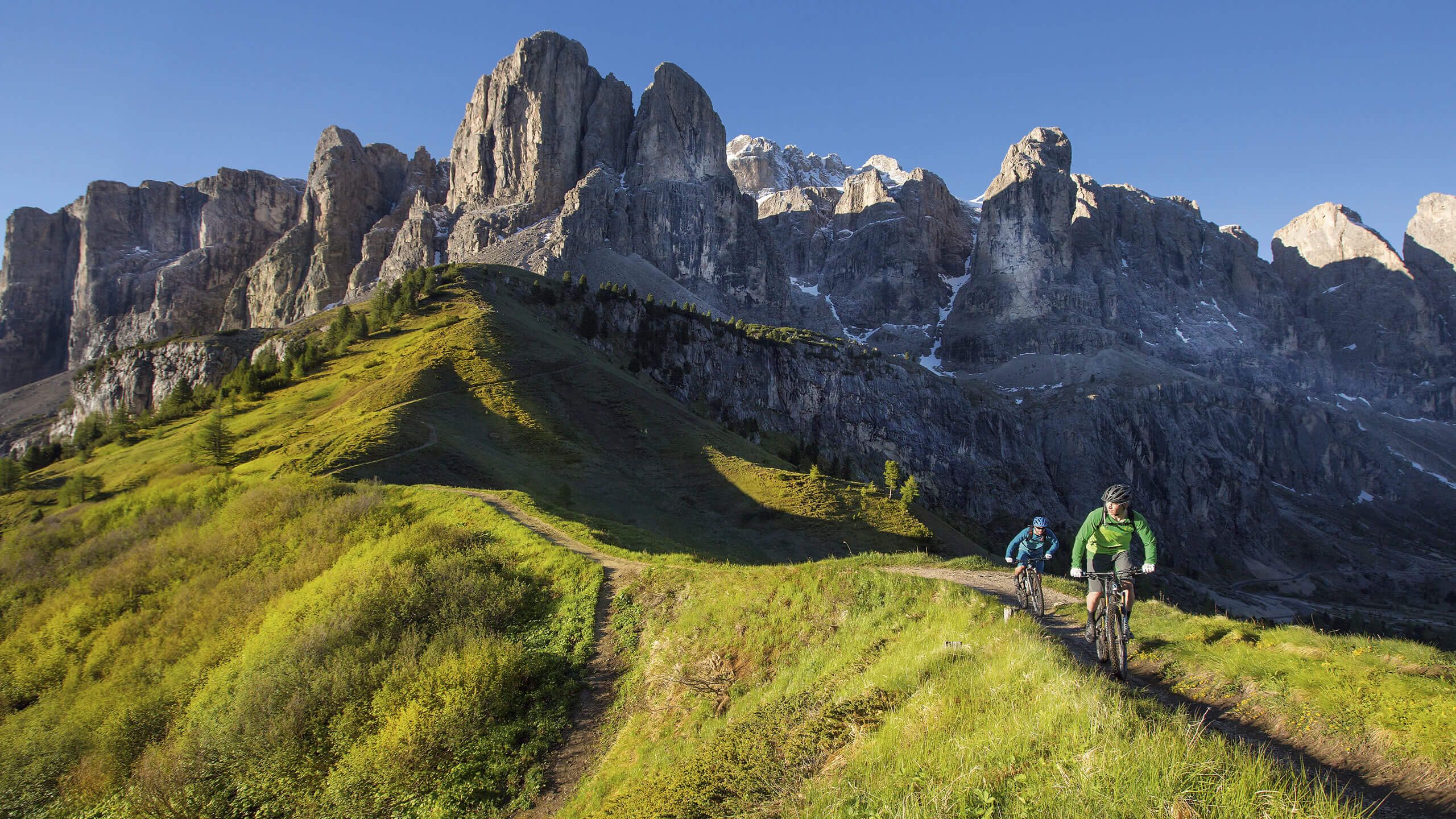 Sport Cycling | South Tyrol| The Aficionados