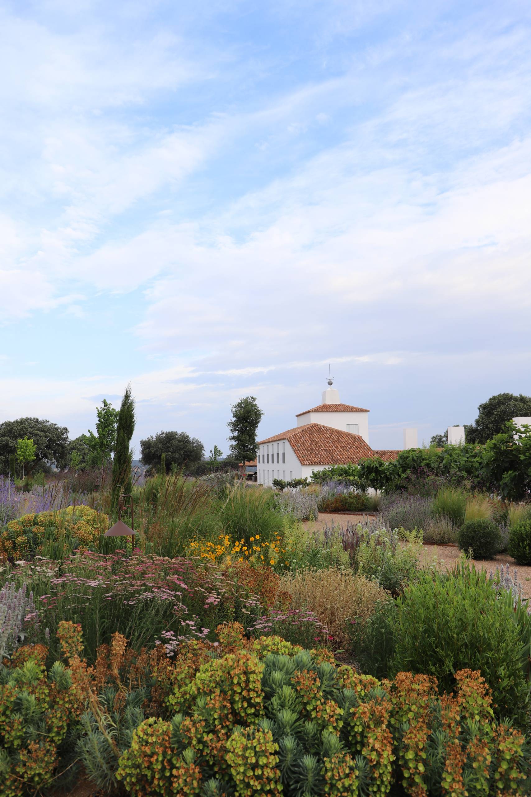 Álvaro Sampedro: Ecological Mediterranean Landscapes | The Aficionados 