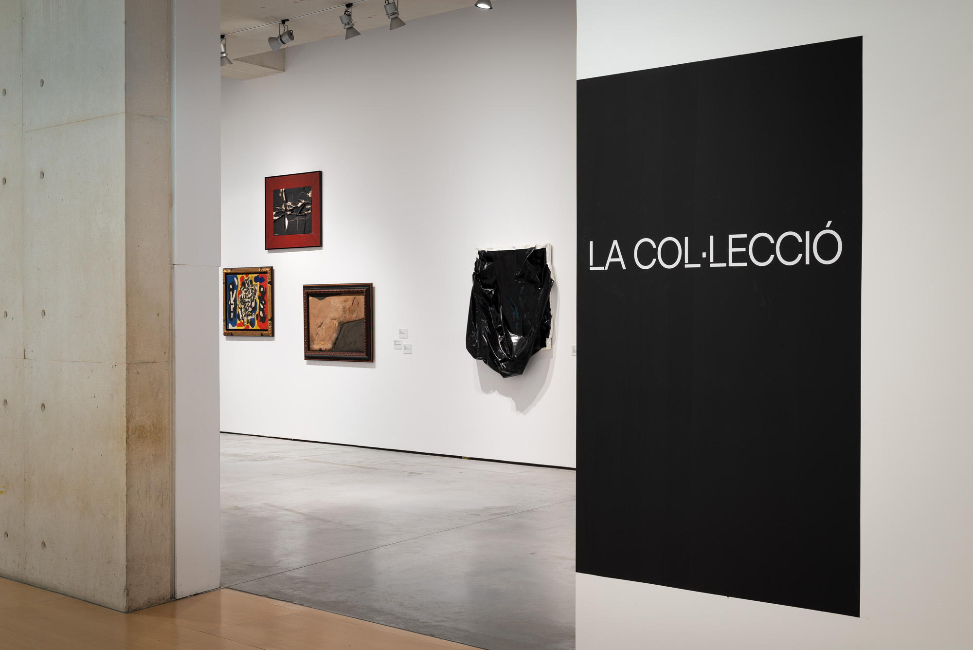 A collection gallery at Es Baluard, works hung on a white wall beside a black panel reading La Col·lecció | The Aficionados