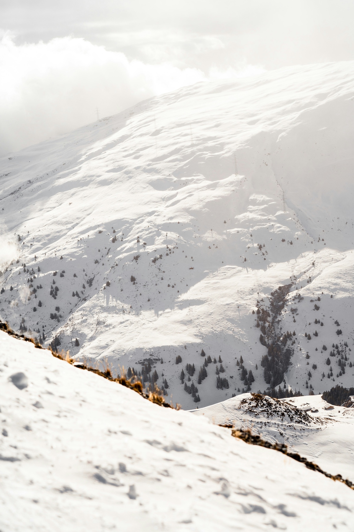 Ski in Flims Laax Falera, Grisons | Skiing Guide | The Aficionados