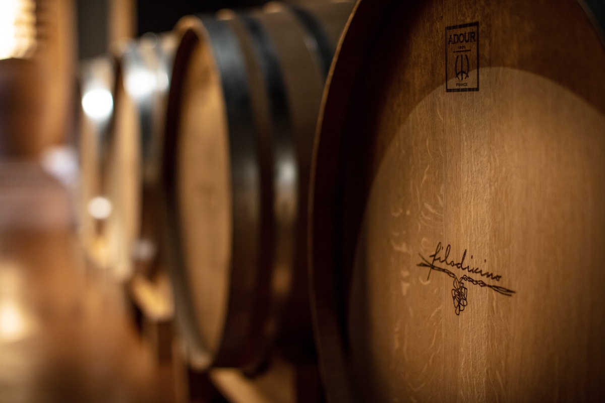 Wine Barrels in cellars of Filodivino Hotel & Vineyards in Le March region of Italy Oak barrels 