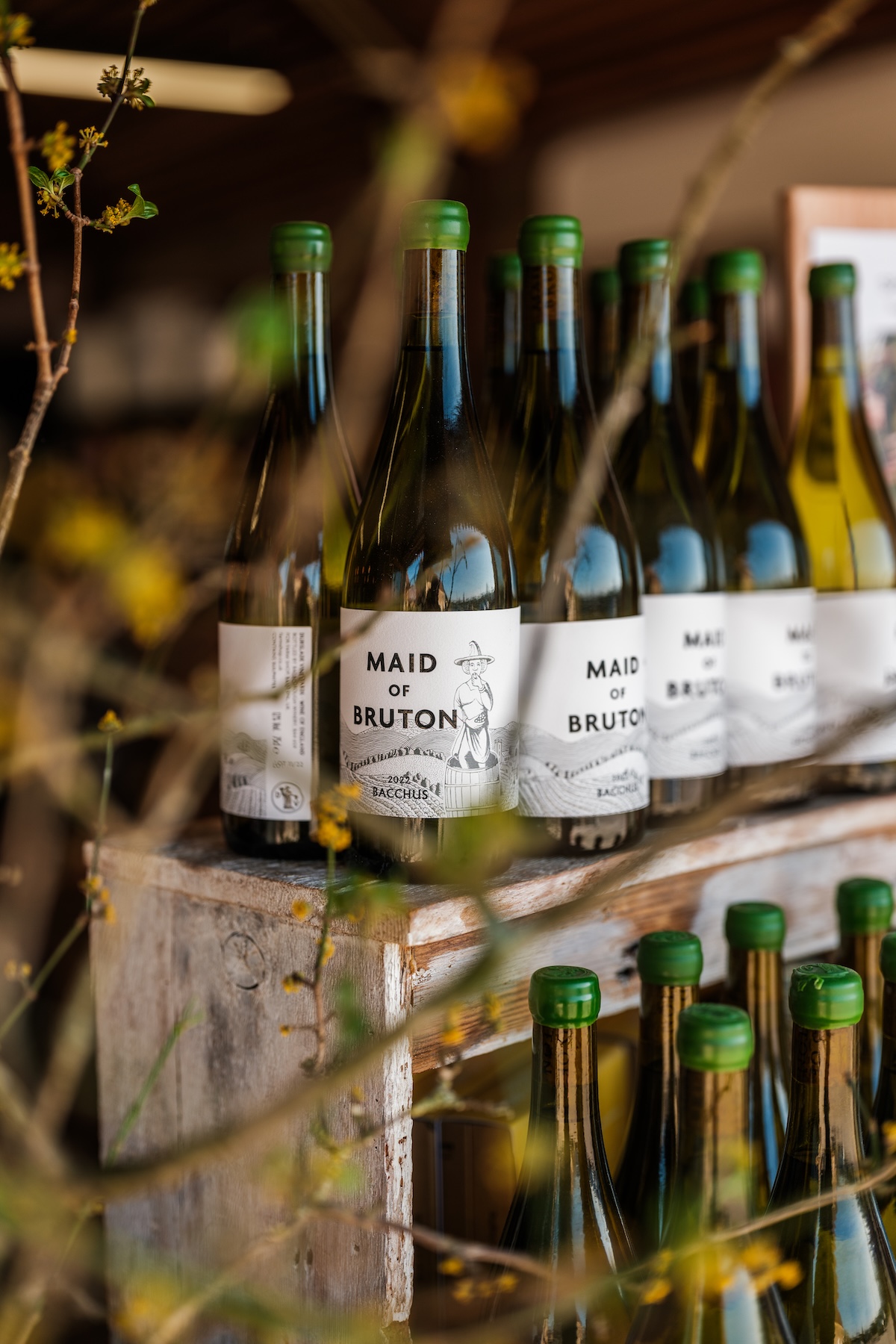 At Durslade Farm in Bruton, Hauser & Wirth Somerset fuses art, architecture and landscape with exhibitions, Piet Oudolf’s gardens, Roth Bar, Da Costa restaurant and farm shop: a cultural campus rooted in Somerset.
