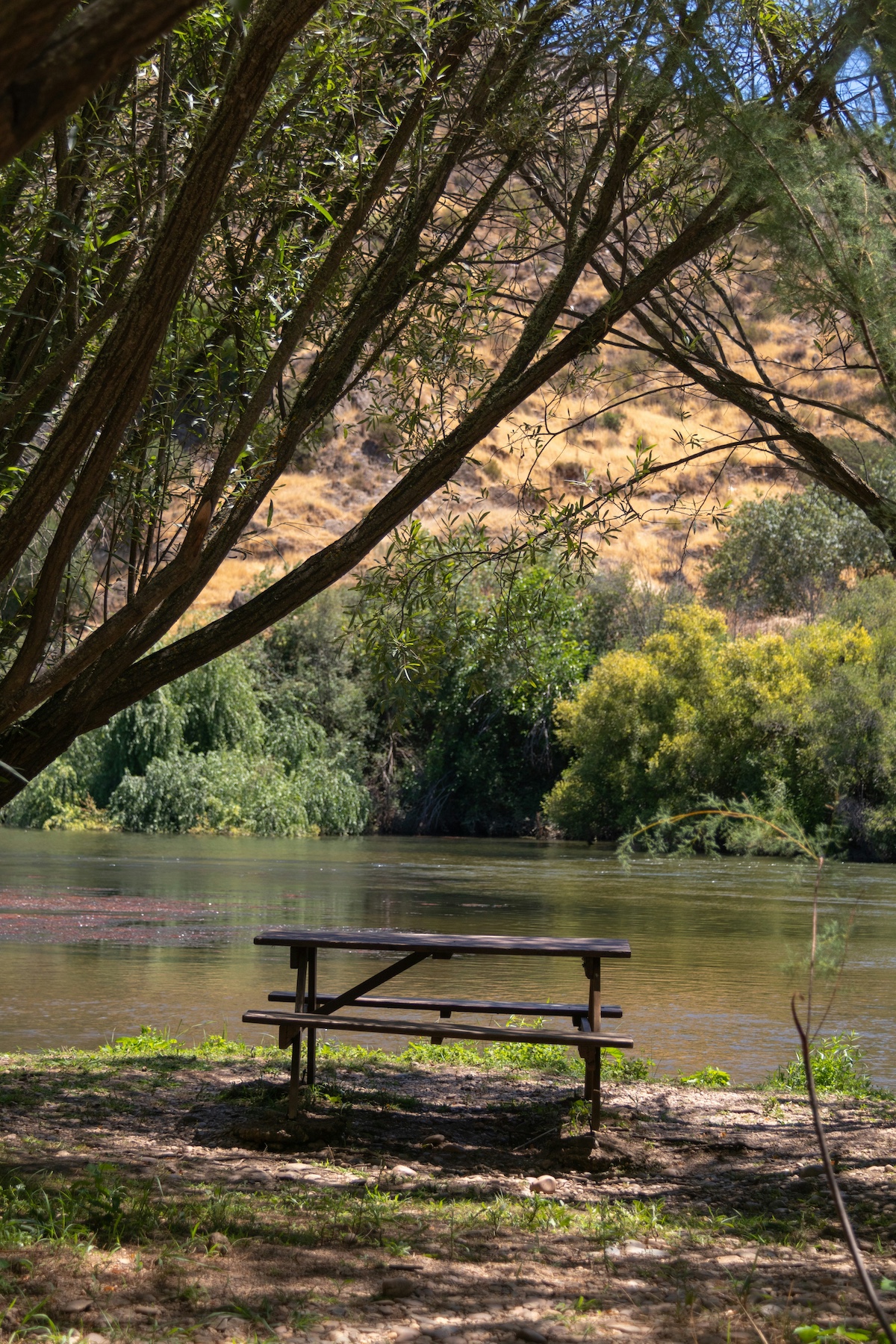Mértola: Portugal’s Museum Village of Islamic & Roman Heritage