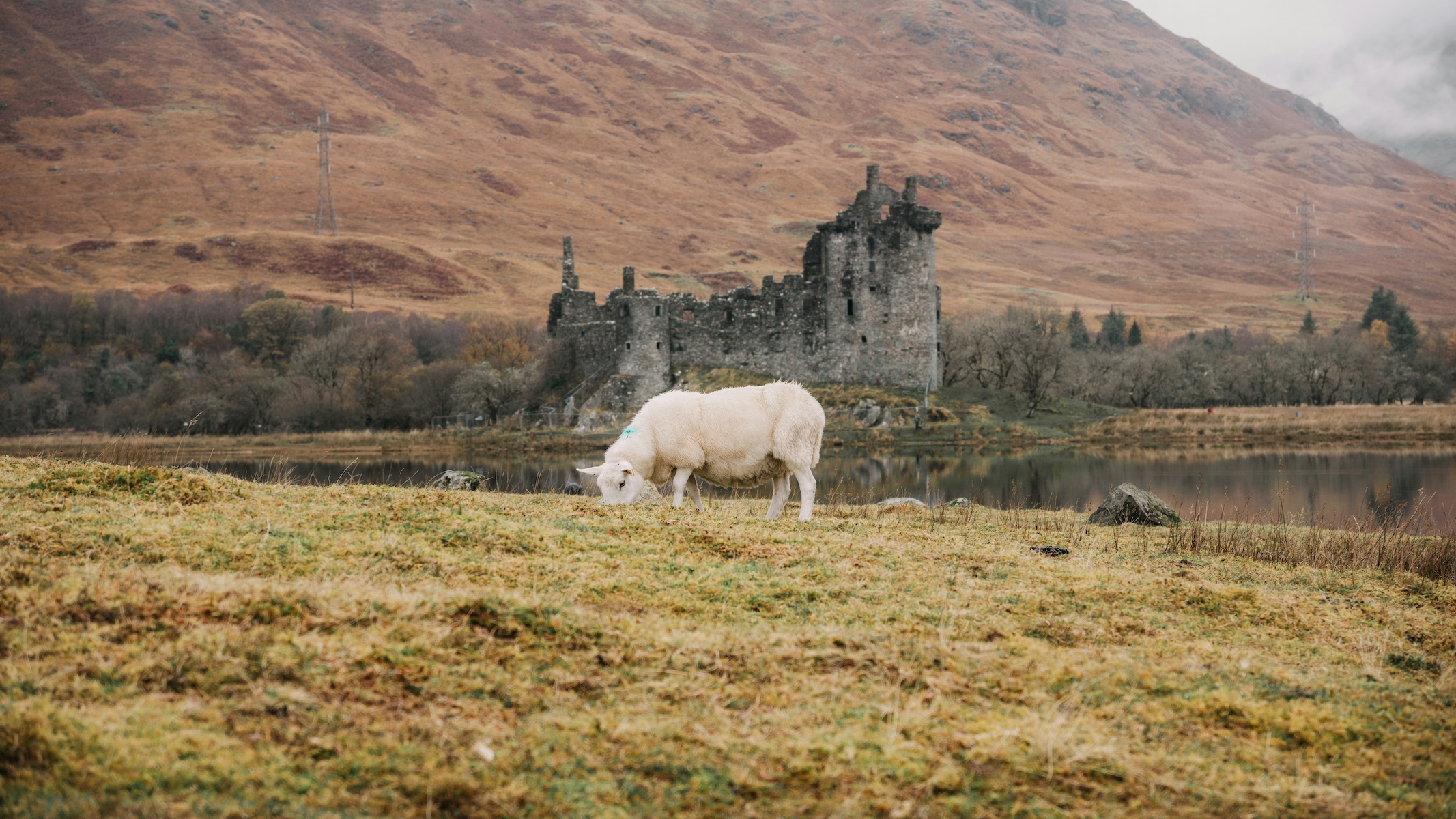 Skye Weavers | Crafted Products Scotland | The Aficionados