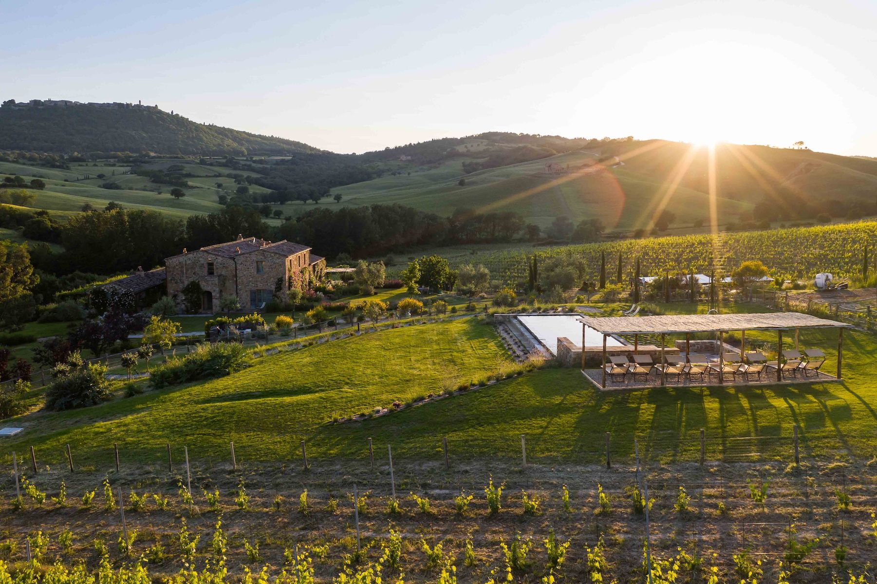 Tuscan stone farmhouse and swimming pool bathed in golden sunset light above rows of vineyard