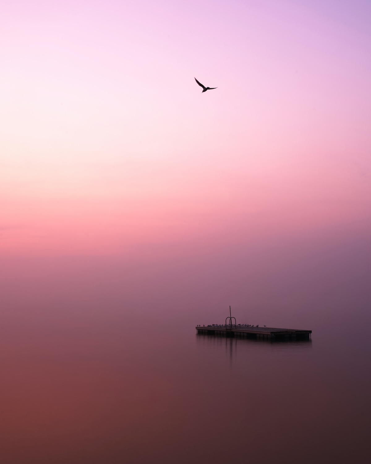 Bardolino Wine Festival | Festa Dell’Uva Lake Garda Italy | The Aficionados