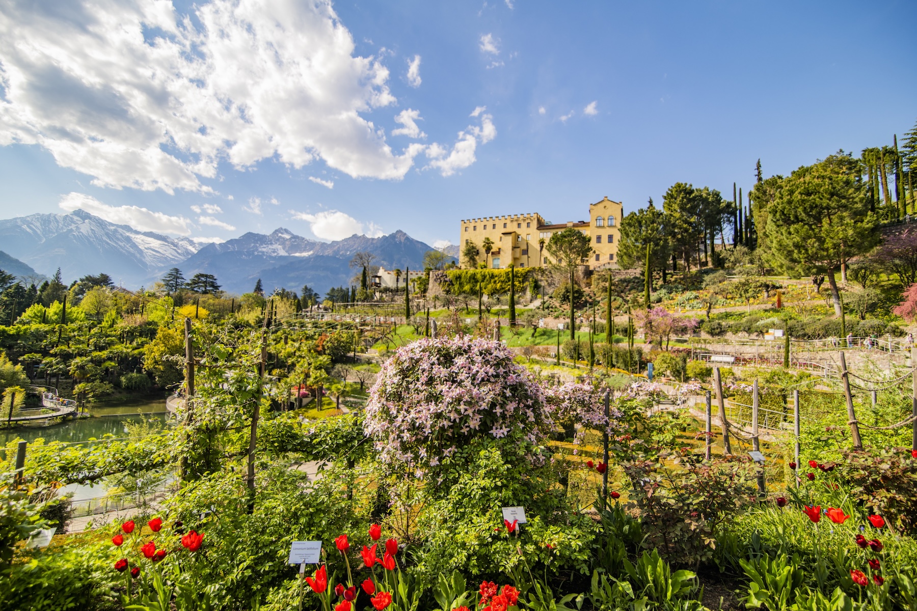 Trauttmansdorff Botanical Gardens Merano South Tyrol | The Aficionados