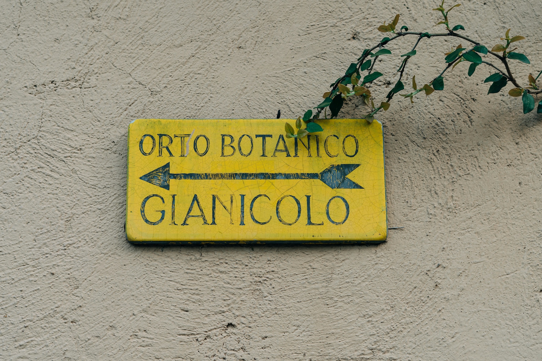 Museo Orto Botanico di Roma | Botanica Gardens | The Aficionados