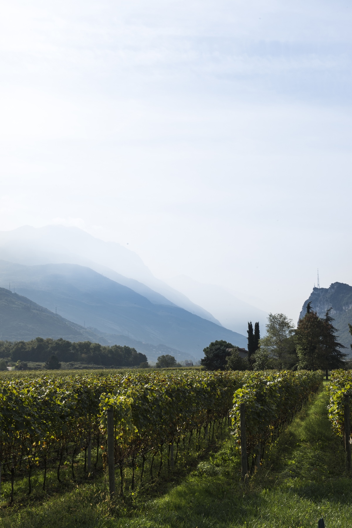 Why staying at Vivere Suites and Rooms enhances your experience of Lake Garda.