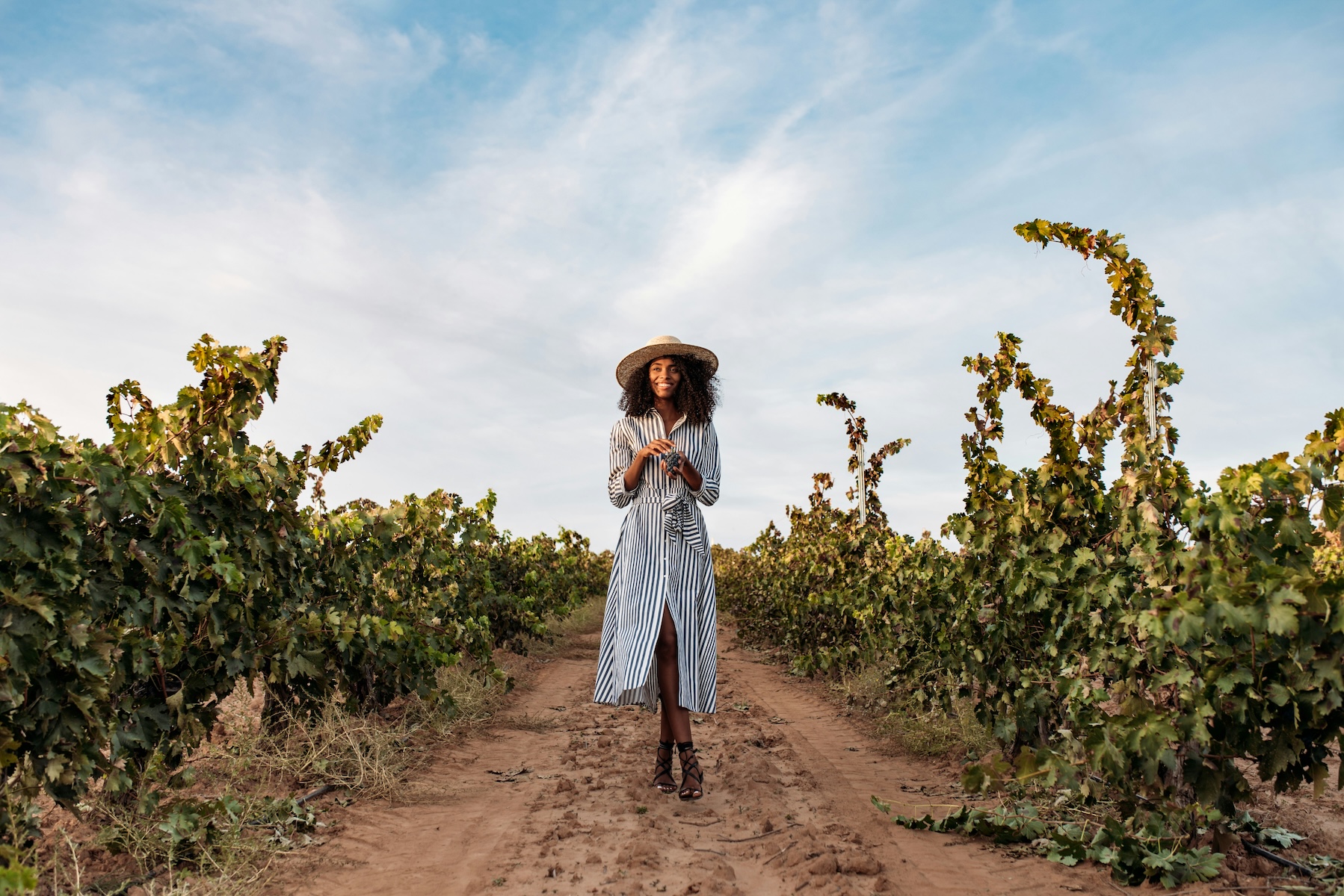 The Swartland: Black Land, Old Vines + Stunning Landscapes