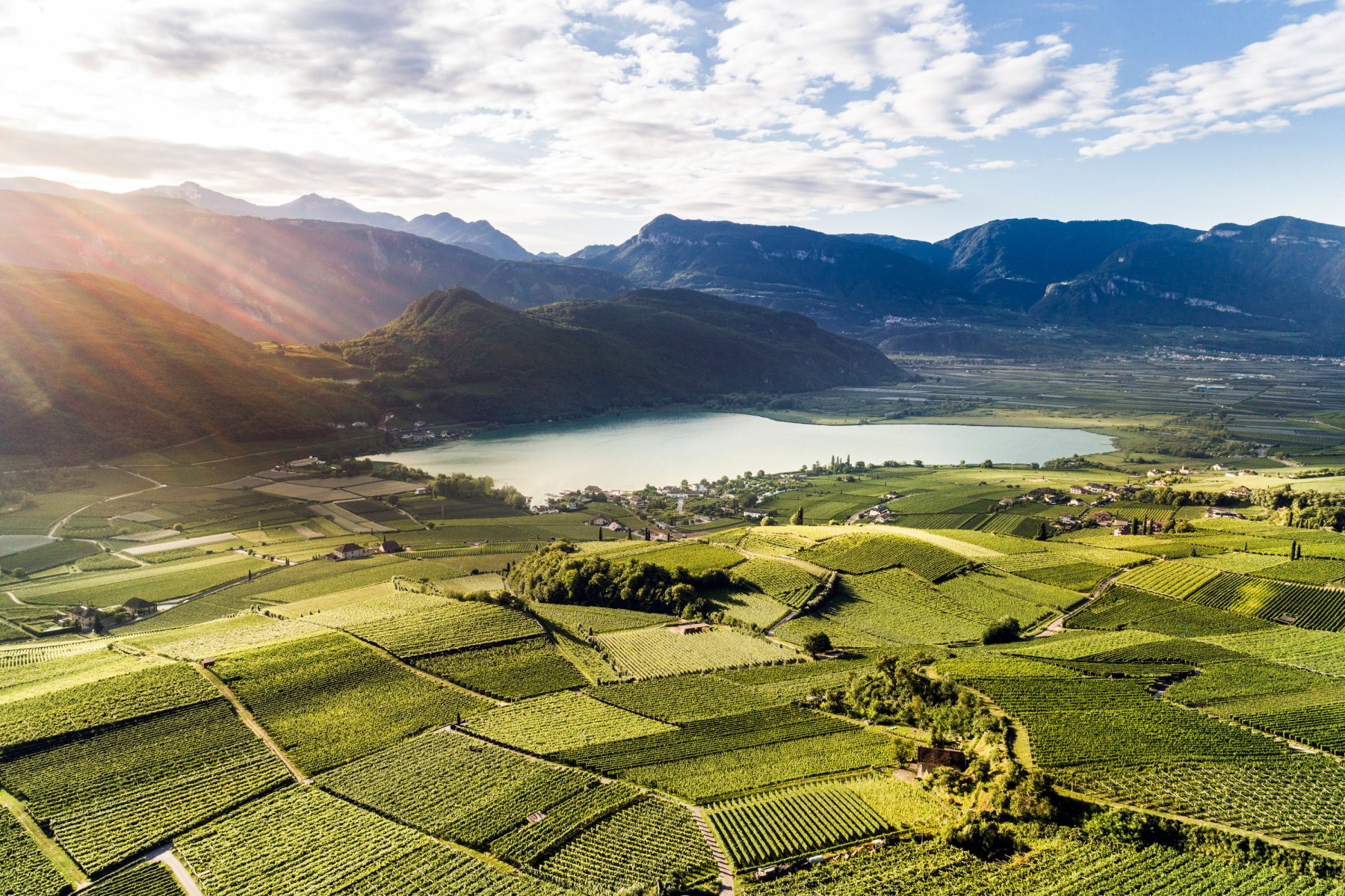 Vineyards of Kaltern am See | Best Italian Wineries Alto Adige, Italy