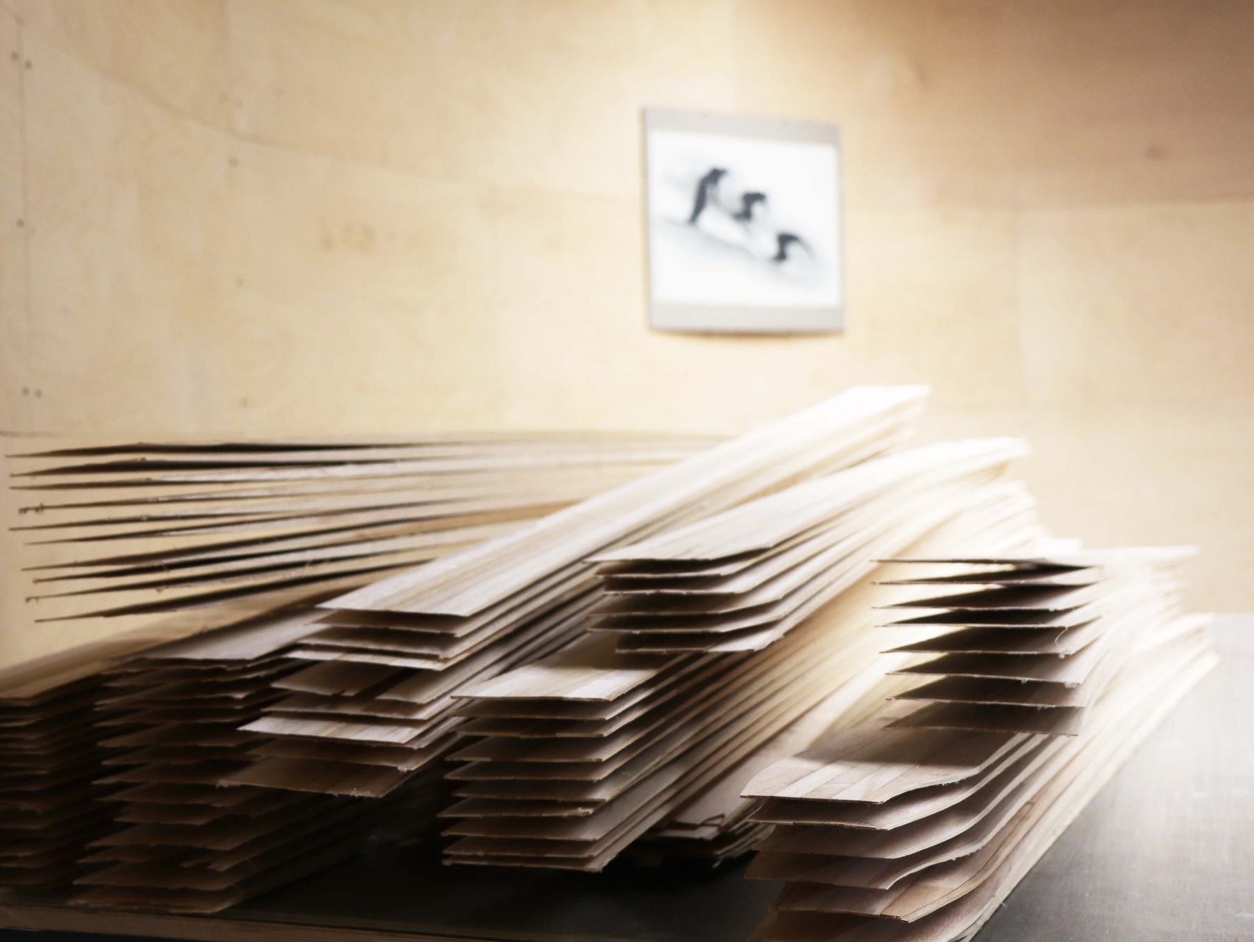 Jacomet Skis | Performance Equipment Switzerland | The Aficionados