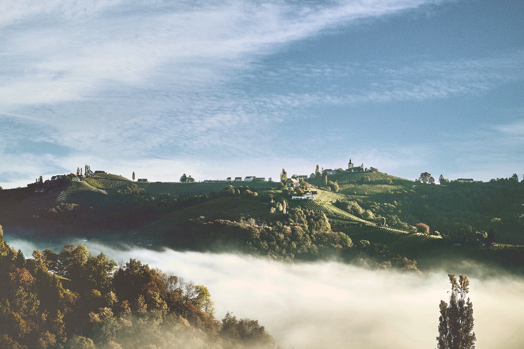Vinoble Cosmetics: A Journey of Passion, Sustainability, and Innovation