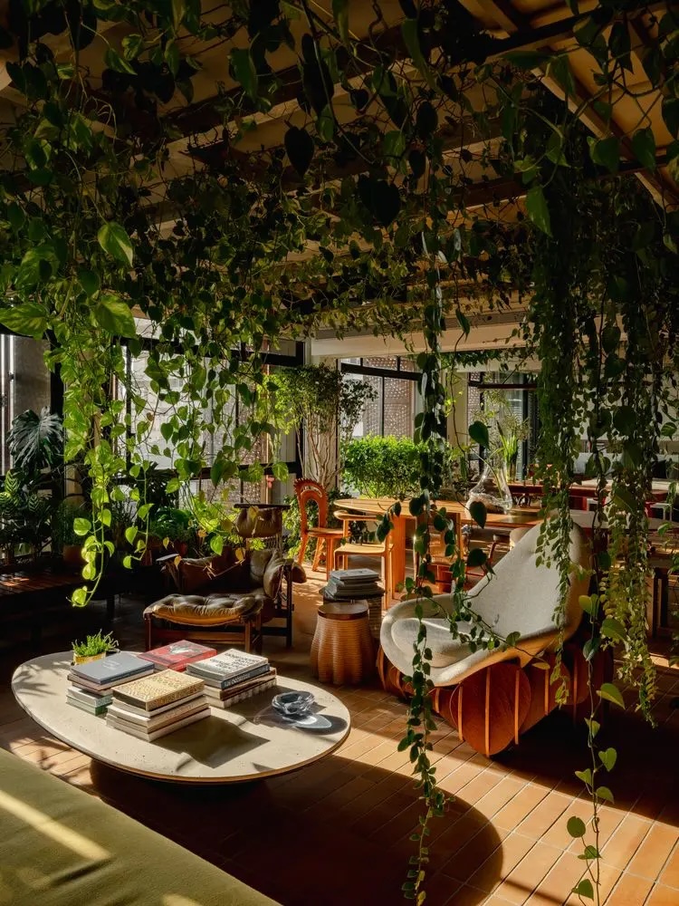 Sun-filled lounge with hanging vines, terracotta tiles and handcrafted furniture at Lisbon Design Week 2026